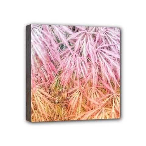 Fineleaf Japanese Maple highlights Mini Canvas 4  x 4  (Stretched)