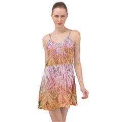 Fineleaf Japanese Maple highlights Summer Time Chiffon Dress