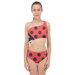 Bug Cubism Flat Insect Pattern Spliced Up Two Piece Swimsuit by BangZart