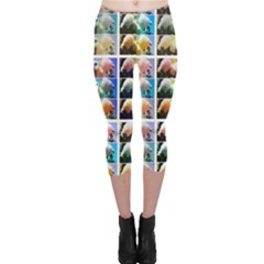 Twenty-seven Snowball Branch Collage Capri Leggings 