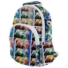 Twenty-seven Snowball Branch Collage Rounded Multi Pocket Backpack