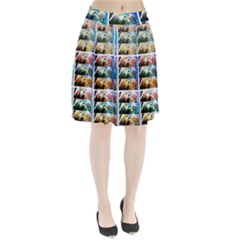 Twenty-seven Snowball Branch Collage Pleated Skirt