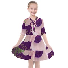 Flowers Kids  All Frills Chiffon Dress by BIBILOVER