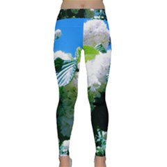 Blue Snowball Branch Classic Yoga Leggings by okhismakingart