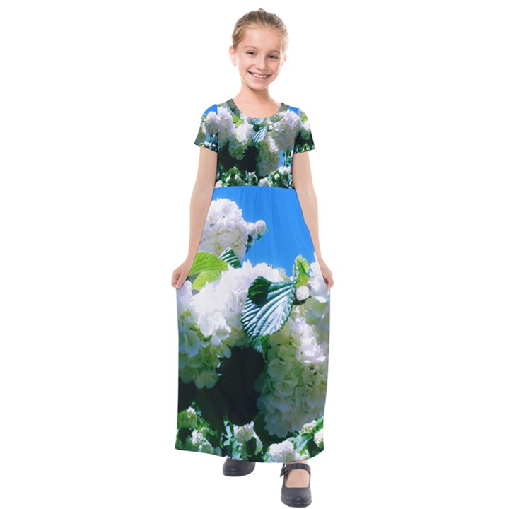 Blue Snowball Branch Kids  Short Sleeve Maxi Dress