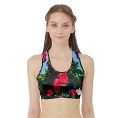 Skyward Tulips Sports Bra With Border