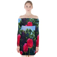 Skyward Tulips Long Sleeve Off Shoulder Dress by okhismakingart