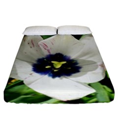 Blue Centered Tulip Fitted Sheet (king Size)