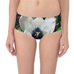 Blue Centered Tulip Mid-waist Bikini Bottoms