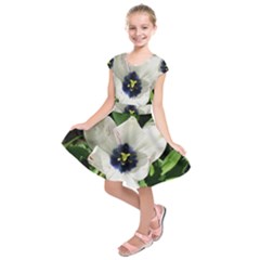 Blue Centered Tulip Kids  Short Sleeve Dress