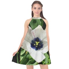 Blue Centered Tulip Halter Neckline Chiffon Dress 