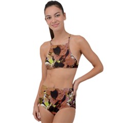 Yellow-pink Snowballs High Waist Tankini Set