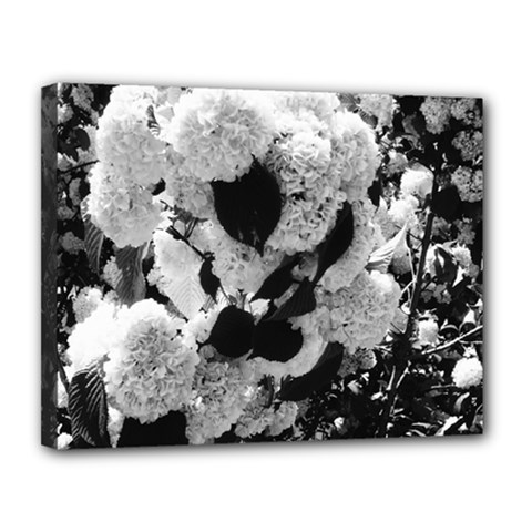 Black And White Snowballs Canvas 14  X 11  (stretched) by okhismakingart