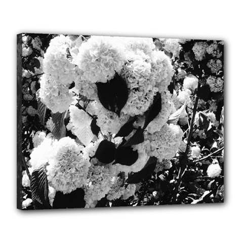 Black And White Snowballs Canvas 20  X 16  (stretched) by okhismakingart