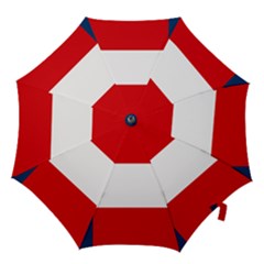 Flag Of Georgia, 1906-1920 Hook Handle Umbrellas (large) by abbeyz71