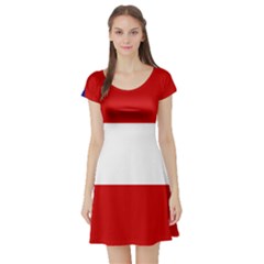 Flag Of Georgia, 1902-1906 Short Sleeve Skater Dress by abbeyz71