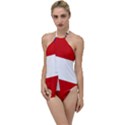 Flag of Georgia, 1902-1906 Go with the Flow One Piece Swimsuit View1