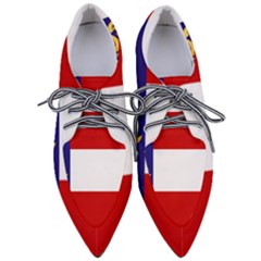 Flag Of Georgia, 1902-1906 Pointed Oxford Shoes by abbeyz71