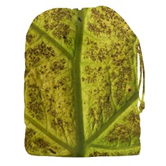 Leaf Structure Texture Background Drawstring Pouch (xxxl) by Pakrebo