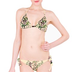 Botanical Print Antique Natural Classic Bikini Set by Pakrebo