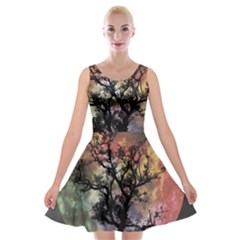 Full Moon Silhouette Tree Night Velvet Skater Dress by Pakrebo