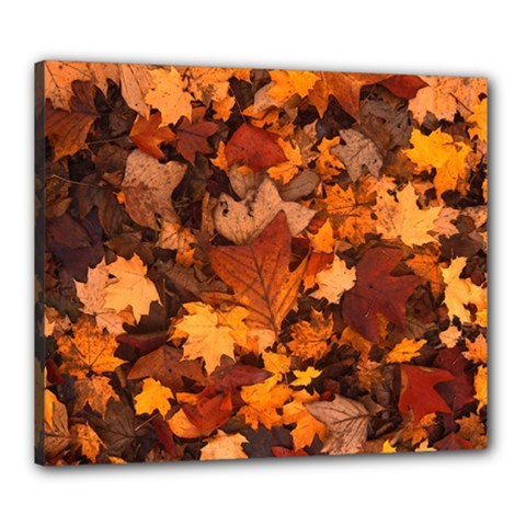 Fall Foliage Autumn Leaves October Canvas 24  X 20  (stretched) by Pakrebo