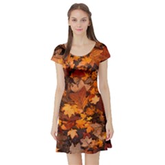 Fall Foliage Autumn Leaves October Short Sleeve Skater Dress