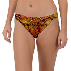 Autumn Leaves Forest Fall Color Band Bikini Bottom by Pakrebo