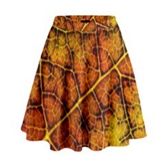 Autumn Leaves Forest Fall Color High Waist Skirt by Pakrebo