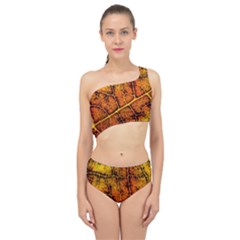Autumn Leaves Forest Fall Color Spliced Up Two Piece Swimsuit by Pakrebo