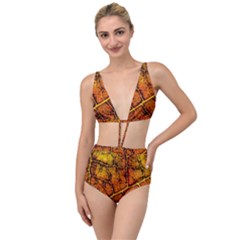 Autumn Leaves Forest Fall Color Tied Up Two Piece Swimsuit by Pakrebo