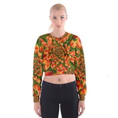 Tulips Arrangement Many Blossom Cropped Sweatshirt by Pakrebo