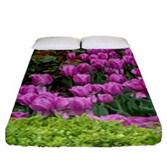 Late April Purple Tulip Fitted Sheet (king Size) by Riverwoman