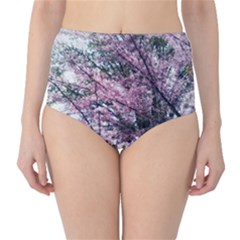 Ohio Redbud Classic High-waist Bikini Bottoms by Riverwoman