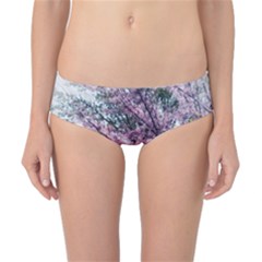 Ohio Redbud Classic Bikini Bottoms