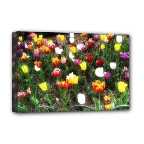 Tulips  Deluxe Canvas 18  X 12  (stretched) by Riverwoman