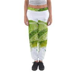 Lime Club Soda Drink Cocktail Women s Jogger Sweatpants by Pakrebo