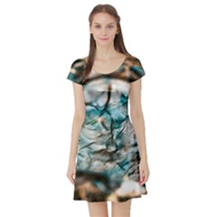 Water Forest Reflections Reflection Short Sleeve Skater Dress