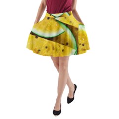 Sliced Watermelon Lot A-line Pocket Skirt by Pakrebo