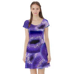 Sliced Kiwi Fruits Purple Short Sleeve Skater Dress