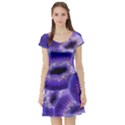 Sliced Kiwi Fruits Purple Short Sleeve Skater Dress View1