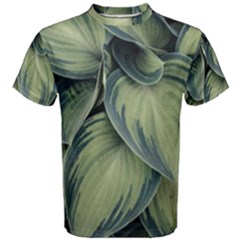 Closeup Photo Of Green Variegated Leaf Plants Men s Cotton Tee