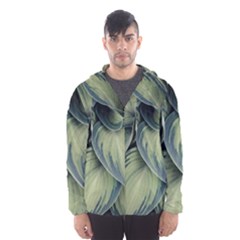 Closeup Photo Of Green Variegated Leaf Plants Men s Hooded Windbreaker