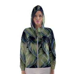 Closeup Photo Of Green Variegated Leaf Plants Women s Hooded Windbreaker