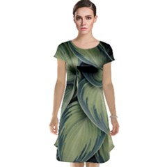 Closeup Photo Of Green Variegated Leaf Plants Cap Sleeve Nightdress