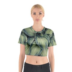 Closeup Photo Of Green Variegated Leaf Plants Cotton Crop Top