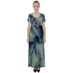 Closeup Photo Of Green Variegated Leaf Plants High Waist Short Sleeve Maxi Dress