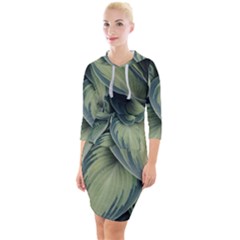 Closeup Photo Of Green Variegated Leaf Plants Quarter Sleeve Hood Bodycon Dress