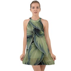 Closeup Photo Of Green Variegated Leaf Plants Halter Tie Back Chiffon Dress