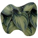 Closeup Photo Of Green Variegated Leaf Plants Head Support Cushion View4